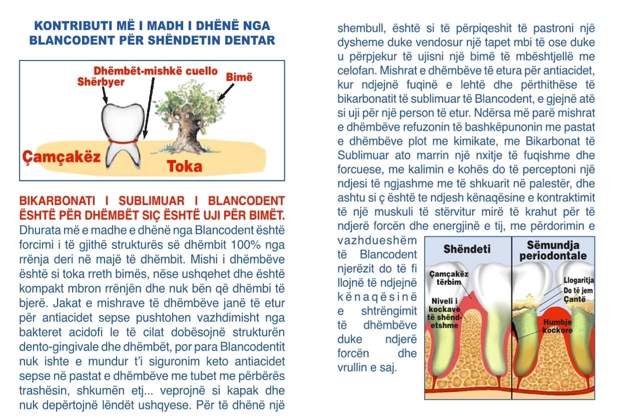 pagina 7 blancodent albania dentifricio in polvere